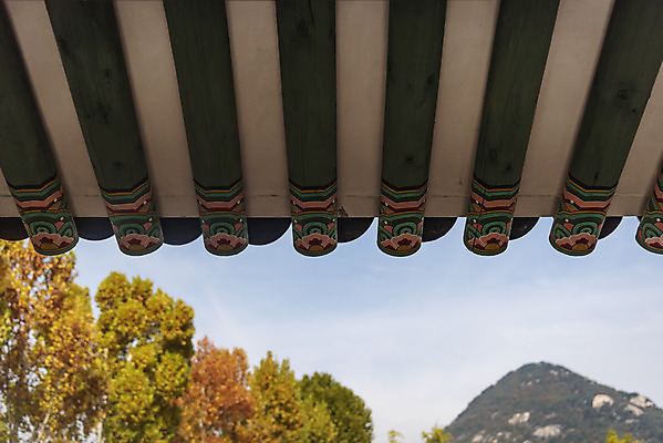 포토 JPG 주간 여행 단풍 낙엽 하늘 산 서울 단청문양 풍경 사람없음 야외 가을풍경 가을 경복궁 국내여행 국내포토 자연요소 문양 계절 잎 한국 궁전 단청 파일형식 가을_계절