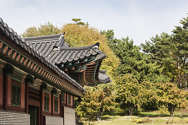포토 JPG 주간 여행 단풍 낙엽 하늘 서울 풍경 사람없음 야외 가을풍경 궁전 가을 경복궁 국내여행 국내포토 자연요소 계절 고건축 잎 한국 파일형식 가을_계절