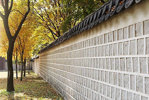 포토 JPG 주간 여행 단풍 낙엽 서울 풍경 사람없음 야외 가을풍경 궁전 가을 은행잎 경복궁 은행나무 국내여행 국내포토 자연요소 나무 계절 고건축 잎 한국 파일형식 가을_계절