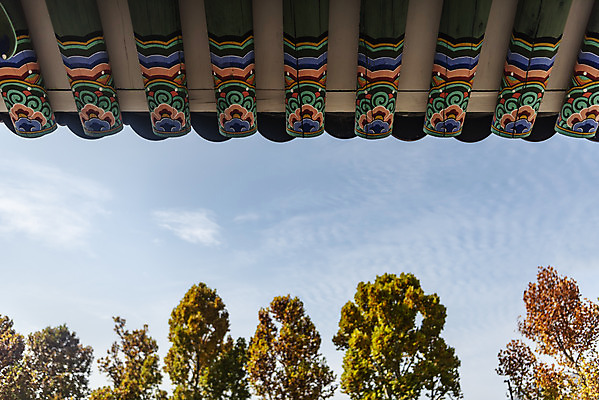 포토 JPG 주간 구름 여행 단풍 낙엽 하늘 단풍나무 서울 단청문양 풍경 사람없음 야외 가을풍경 궁전 가을 경복궁 국내여행 국내포토 자연요소 나무 문양 계절 고건축 잎 한국 단청 파일형식 가을_계절