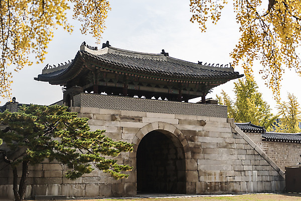 포토 JPG 주간 여행 단풍 낙엽 서울 풍경 사람없음 야외 가을풍경 궁전 가을 경복궁 국내여행 국내포토 자연요소 계절 고건축 잎 한국 파일형식 가을_계절