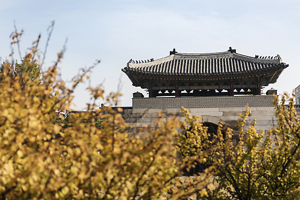 포토 JPG 주간 여행 단풍 낙엽 서울 풍경 사람없음 야외 아웃포커스 가을풍경 궁전 가을 경복궁 국내여행 국내포토 자연요소 계절 고건축 잎 한국 촬영기법 파일형식 가을_계절