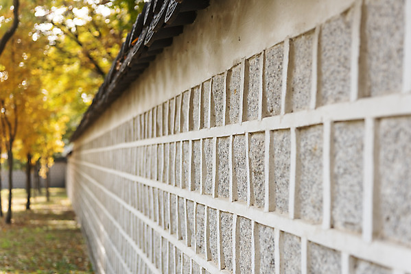 포토 JPG 주간 여행 단풍 낙엽 서울 풍경 근접촬영 사람없음 야외 아웃포커스 가을풍경 궁전 가을 경복궁 벽돌담 국내여행 국내포토 자연요소 계절 뷰포인트 고건축 잎 벽돌 한국 촬영기법 담장 파일형식 가을_계절