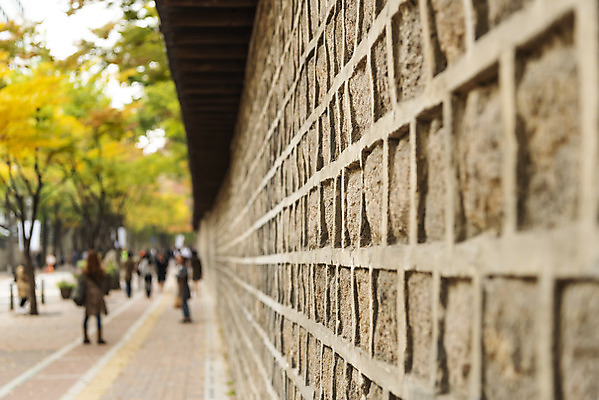 포토 JPG 주간 여행 단풍 낙엽 단풍나무 서울 풍경 사람없음 야외 가을풍경 궁전 가을 국내여행 덕수궁 돌담길 국내포토 자연요소 나무 계절 길 고건축 잎 한국 돌담 파일형식 가을_계절