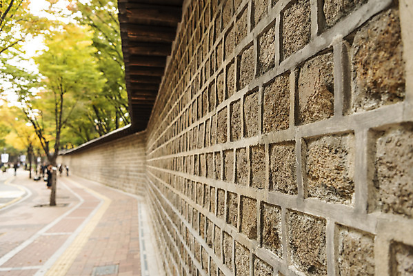 포토 JPG 주간 여행 단풍 낙엽 단풍나무 서울 풍경 사람없음 야외 가을풍경 궁전 가을 국내여행 덕수궁 돌담길 국내포토 자연요소 나무 계절 길 고건축 잎 한국 돌담 파일형식 가을_계절