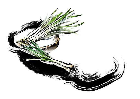 PSD 채소 일러스트 식재료 캘리그라피 붓터치 사람없음 초록색 농작물 바구니 번짐 파 식자재 신토불이 국내일러스트 컬러 농업 파일형식 효과