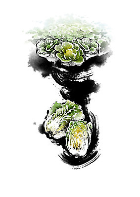 PSD 채소 일러스트 식재료 캘리그라피 붓터치 사람없음 농작물 배추 번짐 배추밭 식자재 신토불이 국내일러스트 밭 농업 파일형식 효과