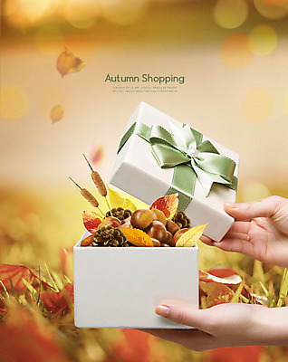 PSD 편집이미지 손 리본 단풍 낙엽 갈대 한명 사람 잔디 신체부위 선물상자 쇼핑 가을 밤 즐거움 솔방울 카피스페이스 이미지편집 식물 1 계절 감정 잎 선물 상자 공백 견과류 파일형식