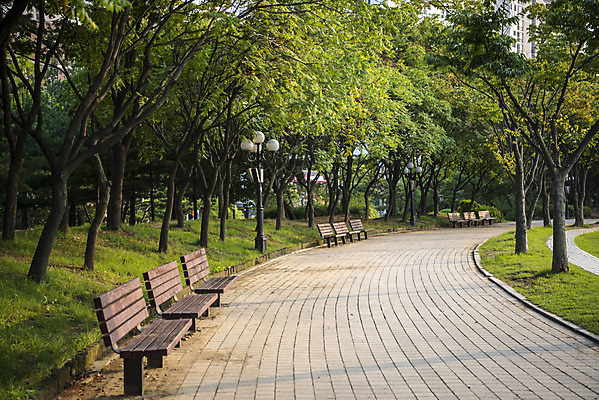 포토 JPG 주간 나무 공원 길 가로등 벤치 의자 자연 휴식 풍경 잔디 사람없음 야외 여름 힐링 조용 휴식처 국내포토 자연요소 식물 계절 공공시설 가구 컨셉 생태계 파일형식