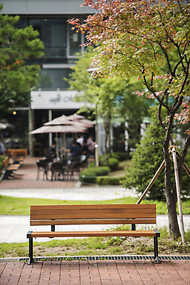 포토 JPG 주간 나무 공원 길 벤치 의자 자연 휴식 풍경 잔디 사람없음 야외 건물 아웃포커스 여름 힐링 조용 카페테라스 휴식처 국내포토 자연요소 식물 건축물 계절 공공시설 가구 컨셉 촬영기법 카페 생태계 파일형식