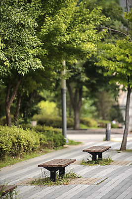 포토 JPG 주간 나무 공원 가로등 벤치 의자 자연 휴식 풍경 잔디 사람없음 야외 아웃포커스 여름 힐링 조용 휴식처 국내포토 자연요소 식물 계절 공공시설 가구 컨셉 촬영기법 생태계 파일형식