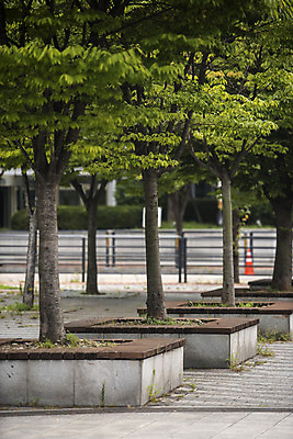 포토 JPG 주간 나무 공원 길 벤치 의자 자연 휴식 풍경 잔디 사람없음 야외 건물 아웃포커스 여름 울타리 힐링 조용 휴식처 국내포토 자연요소 식물 건축물 계절 공공시설 가구 컨셉 촬영기법 담장 생태계 파일형식