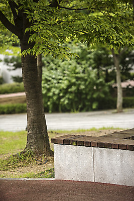 포토 JPG 주간 나무 공원 길 벤치 의자 자연 휴식 풍경 잔디 사람없음 야외 아웃포커스 여름 힐링 조용 휴식처 국내포토 자연요소 식물 계절 공공시설 가구 컨셉 촬영기법 생태계 파일형식