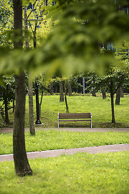 포토 JPG 주간 나무 공원 길 벤치 의자 자연 휴식 풍경 잔디 사람없음 야외 건물 아웃포커스 여름 힐링 조용 휴식처 국내포토 자연요소 식물 건축물 계절 공공시설 가구 컨셉 촬영기법 생태계 파일형식