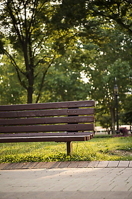 포토 JPG 주간 나무 공원 꽃 가로등 벤치 의자 자연 휴식 풍경 잔디 사람없음 야외 아웃포커스 여름 힐링 조용 휴식처 국내포토 자연요소 식물 계절 공공시설 가구 컨셉 촬영기법 생태계 파일형식