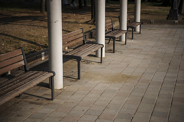 포토 JPG 주간 공원 벤치 의자 자연 휴식 풍경 사람없음 야외 여름 흙 운동장 기둥 힐링 화단 조용 휴식처 국내포토 자연요소 계절 공공시설 건축 가구 컨셉 스포츠시설 공간 생태계 파일형식