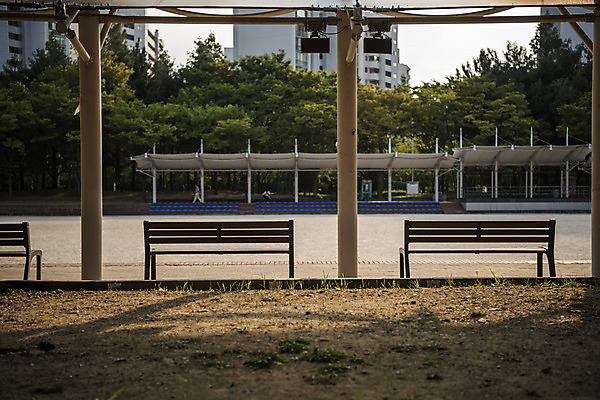 포토 JPG 주간 나무 공원 벤치 의자 자연 휴식 풍경 잔디 사람없음 야외 건물 여름 운동장 힐링 화단 조용 응원석 휴식처 국내포토 자연요소 식물 건축물 계절 공공시설 가구 컨셉 스포츠시설 응원 공간 생태계 파일형식