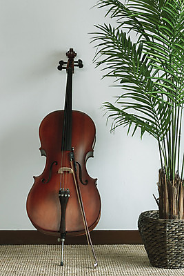 포토 JPG 스튜디오촬영 식물 화분 악기 음악 현악기 문화예술 실내 취미 사람없음 서양악기 음악교육 첼로 음악치료 찰현악기 현울림악기 국내포토 교육 내부 치료 파일형식