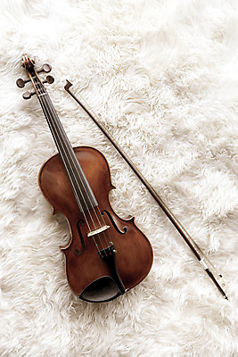 포토 JPG 스튜디오촬영 악기 음악 현악기 문화예술 실내 취미 사람없음 서양악기 음악교육 비올라 음악치료 찰현악기 현울림악기 국내포토 교육 내부 치료 파일형식