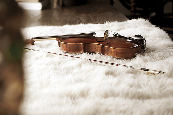 포토 JPG 스튜디오촬영 악기 음악 현악기 문화예술 실내 취미 사람없음 서양악기 음악교육 비올라 음악치료 찰현악기 현울림악기 국내포토 교육 내부 치료 파일형식