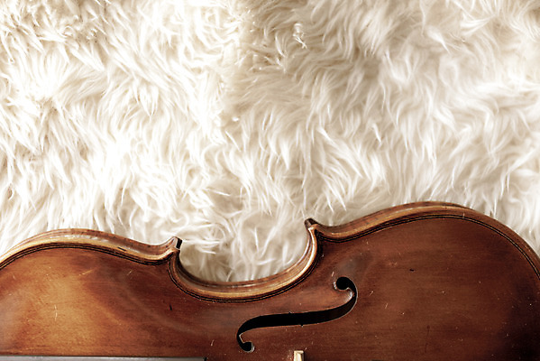 포토 JPG 스튜디오촬영 악기 음악 현악기 문화예술 실내 취미 사람없음 서양악기 음악교육 비올라 음악치료 찰현악기 현울림악기 국내포토 교육 내부 치료 파일형식