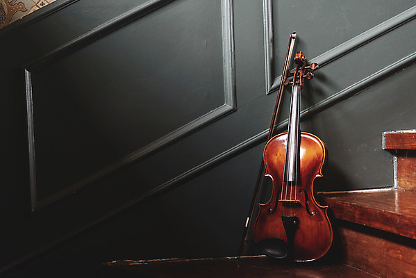 포토 JPG 스튜디오촬영 악기 음악 현악기 문화예술 실내 취미 사람없음 계단 서양악기 음악교육 비올라 음악치료 찰현악기 현울림악기 국내포토 교육 내부 치료 파일형식