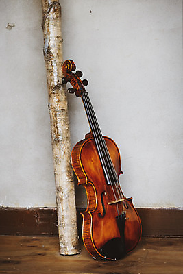 포토 JPG 스튜디오촬영 나무 악기 음악 현악기 문화예술 실내 취미 사람없음 기댐 서양악기 음악교육 비올라 음악치료 찰현악기 현울림악기 국내포토 식물 교육 모션 내부 치료 파일형식