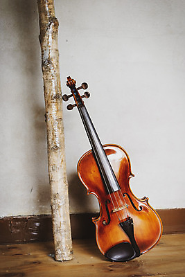 포토 JPG 스튜디오촬영 나무 악기 음악 현악기 문화예술 실내 취미 사람없음 기댐 서양악기 음악교육 비올라 음악치료 찰현악기 현울림악기 국내포토 식물 교육 모션 내부 치료 파일형식