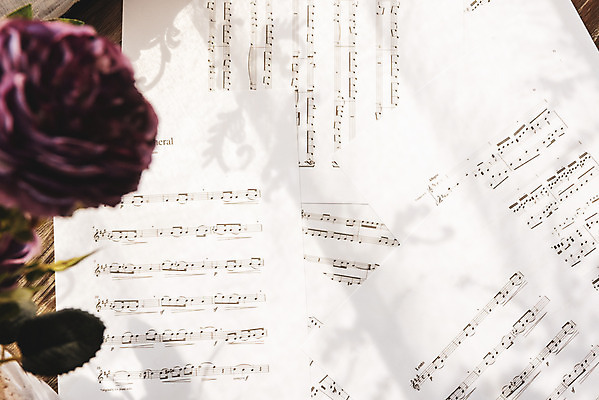 포토 JPG 스튜디오촬영 꽃 음악 문화예술 실내 취미 사람없음 악보 음악교육 음악치료 국내포토 식물 교육 내부 치료 파일형식