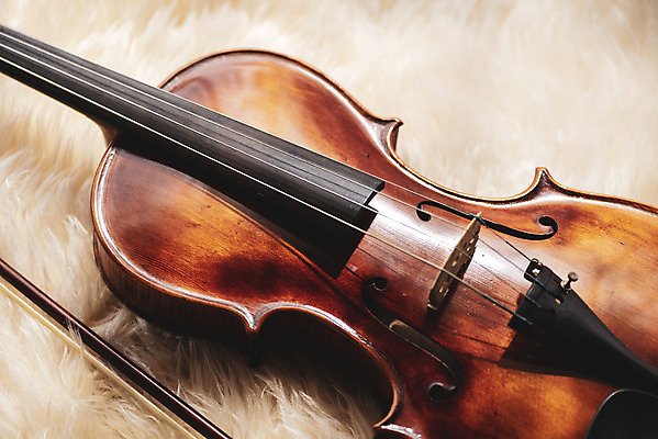 포토 JPG 스튜디오촬영 악기 음악 현악기 문화예술 실내 취미 사람없음 서양악기 음악교육 비올라 음악치료 찰현악기 현울림악기 국내포토 교육 내부 치료 파일형식