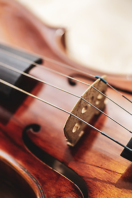 포토 JPG 스튜디오촬영 악기 음악 현악기 문화예술 실내 근접촬영 취미 사람없음 서양악기 음악교육 비올라 음악치료 찰현악기 현울림악기 국내포토 교육 뷰포인트 내부 치료 파일형식