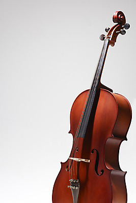 포토 JPG 스튜디오촬영 악기 음악 현악기 문화예술 실내 취미 사람없음 흰배경 서양악기 음악교육 첼로 음악치료 찰현악기 현울림악기 국내포토 교육 백그라운드 내부 치료 흰색 파일형식