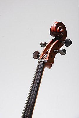 포토 JPG 스튜디오촬영 악기 음악 검은배경 현악기 문화예술 실내 근접촬영 취미 사람없음 흰배경 서양악기 음악교육 첼로 음악치료 찰현악기 현울림악기 첼로헤드 국내포토 교육 뷰포인트 백그라운드 내부 치료 검은색 흰색 파일형식