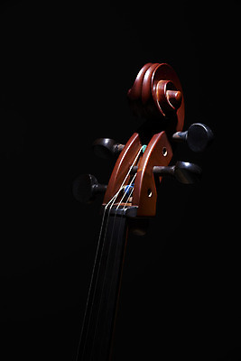 포토 JPG 스튜디오촬영 악기 음악 검은배경 현악기 문화예술 실내 근접촬영 취미 사람없음 서양악기 음악교육 첼로 음악치료 찰현악기 현울림악기 첼로헤드 국내포토 교육 뷰포인트 백그라운드 내부 치료 검은색 파일형식