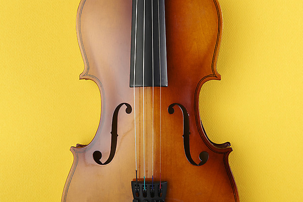포토 JPG 스튜디오촬영 악기 음악 현악기 문화예술 실내 취미 사람없음 바이올린 서양악기 음악교육 노란배경 음악치료 찰현악기 현울림악기 국내포토 교육 백그라운드 내부 치료 노란색 파일형식