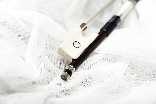 포토 JPG 스튜디오촬영 악기 음악 현악기 문화예술 실내 근접촬영 취미 사람없음 활 서양악기 음악교육 음악치료 국내포토 교육 뷰포인트 내부 치료 파일형식