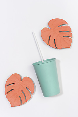 포토 JPG 스튜디오촬영 실내 누끼 사람없음 하이앵글 자연보호 그린캠페인 컵받침 오브젝트 흰배경 몬스테라 민트색 텀블러 플랫레이 코랄 코스터 국내포토 식물 캠페인 뷰포인트 컬러 백그라운드 자연 내부 컵 흰색 플랫 보호 받침대 파일형식