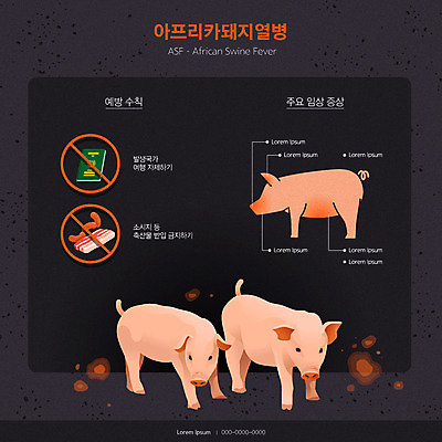 분홍색 일러스트 사람없음 주황색 피해 인포그래픽 금지 돼지 바이러스 질병 사회이슈 예방 감염 방역 위기 증상 아프리카돼지열병 가축전염병 돼지전염병 국내일러스트 AI파일 컬러 컨셉 포유류 의학 전염병 파일형식 벡터