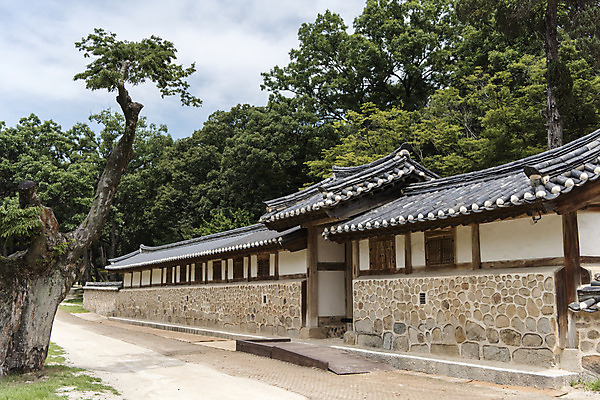 포토 JPG 주간 나무 한국전통 여행 유적지 풍경 사람없음 야외 여름 관광지 세계문화유산 문화재 역사 한국사 조선시대 영녕릉 조선왕릉 효종릉 효종영릉재실 국내포토 여주시 자연요소 식물 전통 계절 고건축 한국 경기도 여주 왕릉 재실 파일형식 여주_지역
