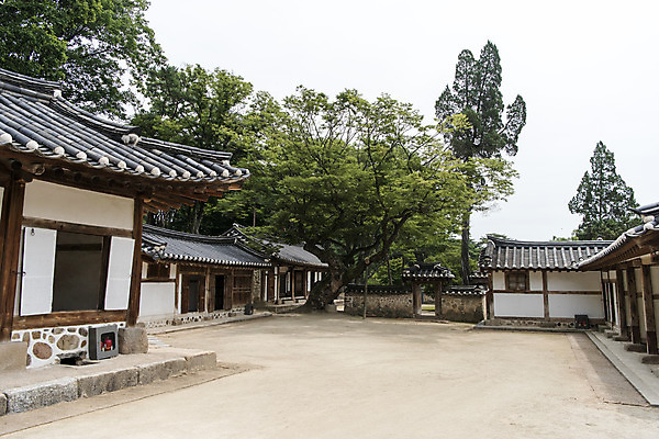 포토 JPG 주간 나무 한국전통 여행 유적지 풍경 사람없음 야외 여름 관광지 세계문화유산 문화재 역사 한국사 조선시대 영녕릉 조선왕릉 효종릉 효종영릉재실 국내포토 여주시 자연요소 식물 전통 계절 고건축 한국 경기도 여주 왕릉 재실 파일형식 여주_지역