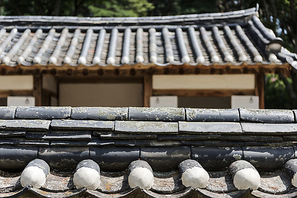 포토 JPG 주간 한국전통 여행 유적지 풍경 사람없음 야외 여름 관광지 세계문화유산 문화재 역사 한국사 조선시대 기와지붕 영녕릉 조선왕릉 기와담장 효종릉 효종영릉재실 국내포토 여주시 자연요소 전통 계절 고건축 지붕 한국 기와 담장 경기도 여주 왕릉 재실 파일형식 여주_지역