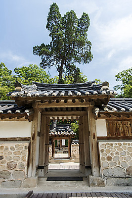 포토 JPG 주간 나무 한국전통 여행 유적지 풍경 사람없음 야외 여름 관광지 문 세계문화유산 문화재 역사 한국사 조선시대 영녕릉 조선왕릉 효종릉 효종영릉재실 국내포토 여주시 자연요소 식물 전통 계절 고건축 한국 경기도 여주 왕릉 재실 파일형식 여주_지역