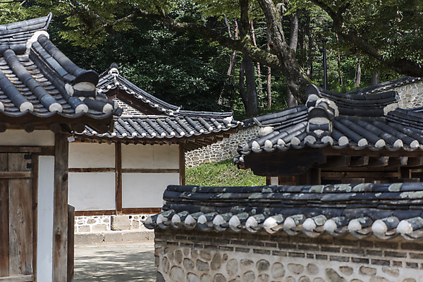 포토 JPG 주간 한국전통 여행 유적지 기와 풍경 사람없음 야외 여름 관광지 세계문화유산 문화재 소나무 역사 한국사 조선시대 기와지붕 영녕릉 조선왕릉 기와담장 효종릉 효종영릉재실 국내포토 여주시 자연요소 나무 전통 계절 고건축 지붕 한국 담장 경기도 여주 왕릉 재실 파일형식 여주_지역