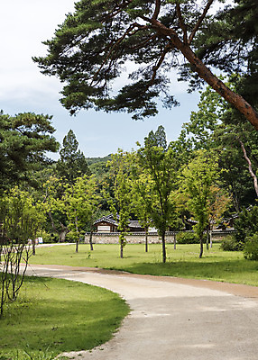 포토 JPG 주간 나무 한국전통 길 여행 유적지 풍경 사람없음 야외 여름 관광지 세계문화유산 문화재 역사 한국사 조선시대 영녕릉 조선왕릉 효종릉 효종영릉재실 국내포토 여주시 자연요소 식물 전통 계절 고건축 한국 경기도 여주 왕릉 재실 파일형식 여주_지역