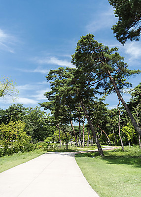 포토 JPG 주간 나무 한국전통 길 여행 유적지 하늘 풍경 사람없음 야외 여름 관광지 세계문화유산 문화재 역사 한국사 조선시대 영녕릉 조선왕릉 효종릉 효종영릉재실 국내포토 여주시 자연요소 식물 전통 계절 고건축 한국 경기도 여주 왕릉 재실 파일형식 여주_지역