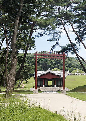 포토 JPG 주간 나무 한국전통 여행 유적지 풍경 사람없음 야외 여름 관광지 세계문화유산 문화재 역사 한국사 조선시대 영녕릉 조선왕릉 홍살문 효종릉 국내포토 여주시 자연요소 식물 전통 계절 고건축 한국 전통문 경기도 여주 왕릉 파일형식 여주_지역