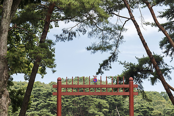 포토 JPG 주간 나무 한국전통 여행 유적지 풍경 사람없음 야외 여름 관광지 세계문화유산 문화재 역사 한국사 조선시대 영녕릉 조선왕릉 홍살문 효종릉 국내포토 여주시 자연요소 식물 전통 계절 고건축 한국 전통문 경기도 여주 왕릉 파일형식 여주_지역