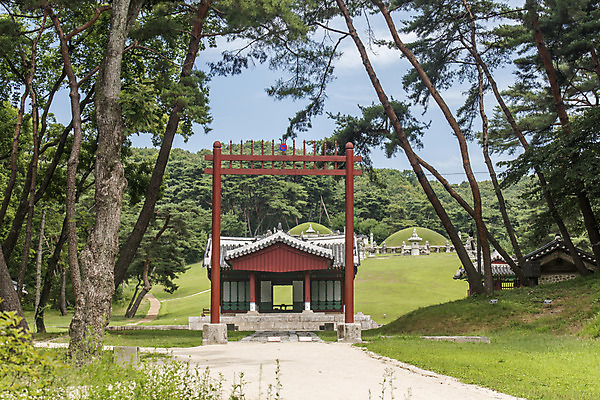 포토 JPG 주간 나무 한국전통 여행 유적지 풍경 사람없음 야외 여름 관광지 세계문화유산 문화재 역사 한국사 조선시대 영녕릉 조선왕릉 홍살문 효종릉 국내포토 여주시 자연요소 식물 전통 계절 고건축 한국 전통문 경기도 여주 왕릉 파일형식 여주_지역