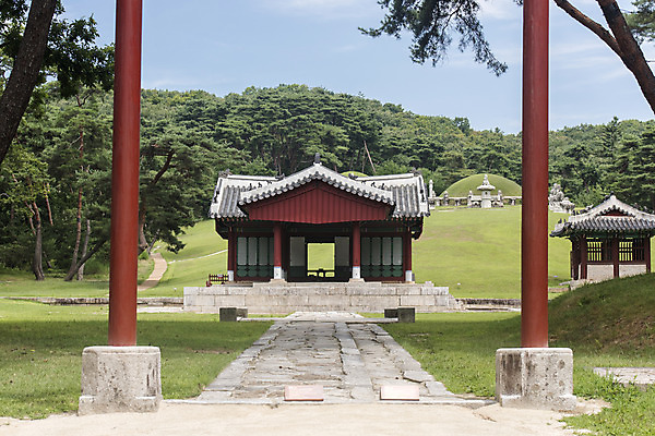 포토 JPG 주간 나무 한국전통 여행 유적지 풍경 사람없음 야외 여름 관광지 세계문화유산 문화재 역사 한국사 조선시대 영녕릉 조선왕릉 홍살문 효종릉 국내포토 여주시 자연요소 식물 전통 계절 고건축 한국 전통문 경기도 여주 왕릉 파일형식 여주_지역