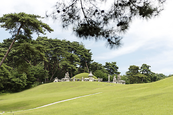 포토 JPG 주간 나무 구름 한국전통 여행 유적지 하늘 풍경 사람없음 야외 여름 관광지 세계문화유산 문화재 역사 한국사 조선시대 영녕릉 조선왕릉 능침 혼유석 효종릉 국내포토 여주시 자연요소 식물 전통 계절 고건축 한국 경기도 여주 왕릉 파일형식 여주_지역